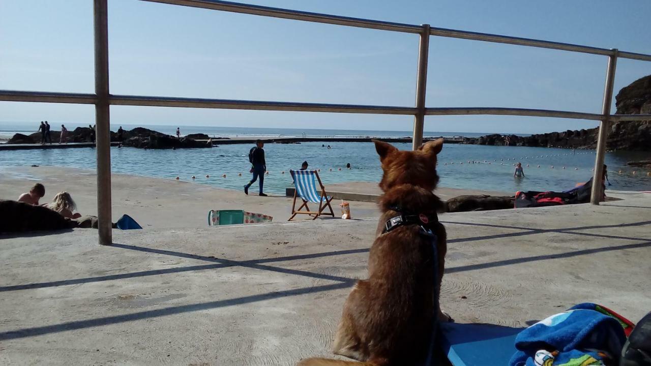Atlantica Villa Bude Eksteriør bilde